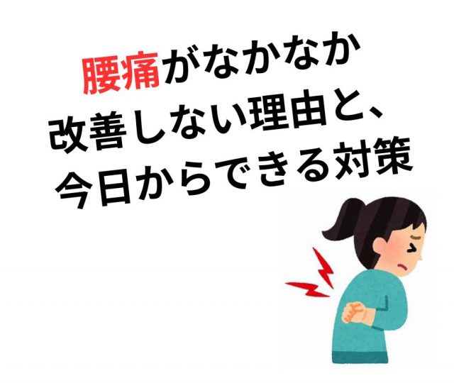 腰痛がなかなか改善しない理由と今日からできる対策　鶴橋のカイロ整体