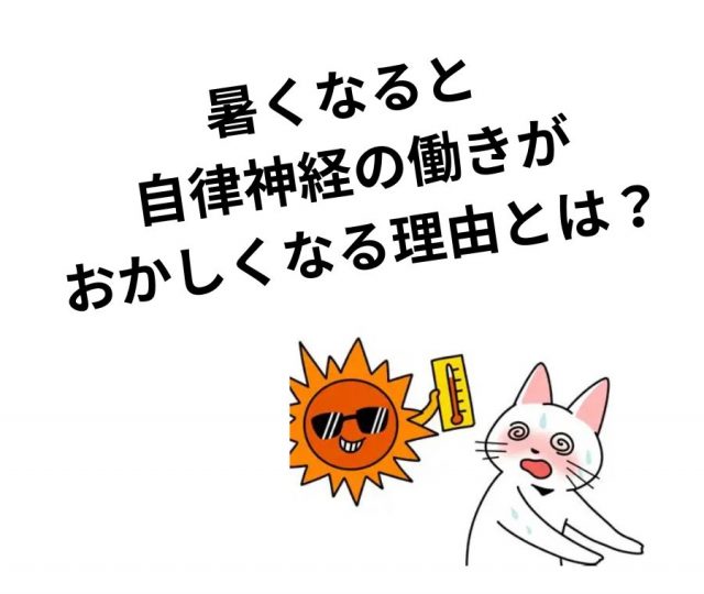 暑くなると自律神経の働きがおかしくなる理由とは？　鶴橋のカイロ整体