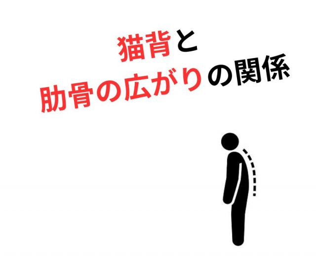 猫背と肋骨の広がり〜姿勢がスタイルに与える影響〜　