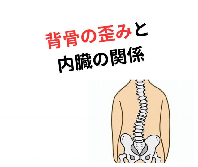 背骨の歪みと内臓の機能低下の関係