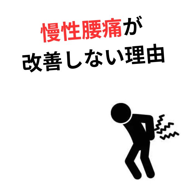 慢性腰痛が病院や整骨院で良くならない本当の理由とは？