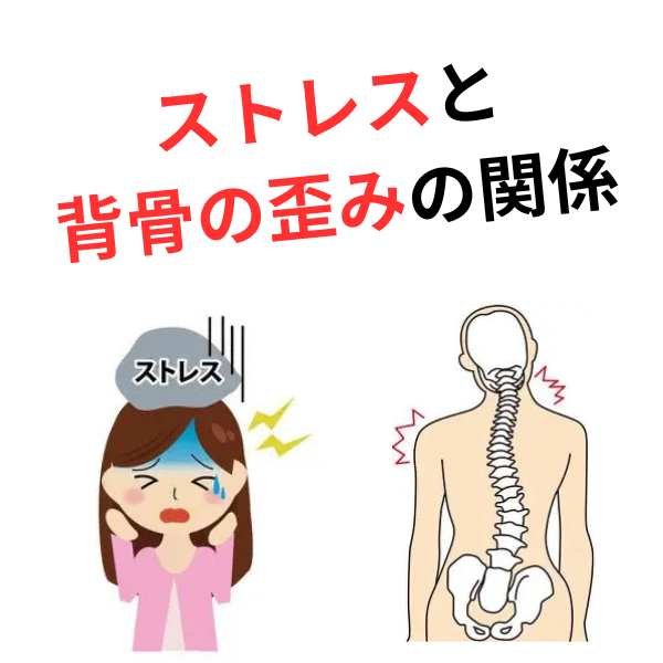 ストレスと背骨の歪みの関係    ―「心の問題」で片づけられてきた不調の、本当の正体―